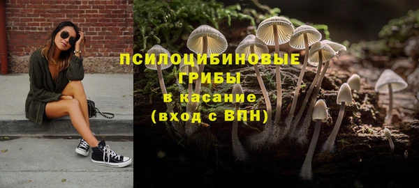 синтетический гашиш Заводоуковск