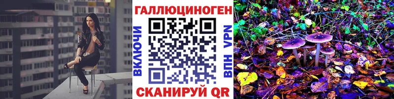 Купить  Вязьма  Галлюциногенные грибы GOLDEN TEACHER 