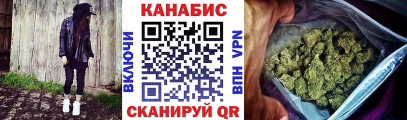 Конопля сатива Вязьма